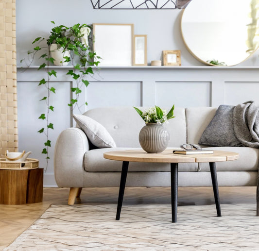Professional Home Staging Services